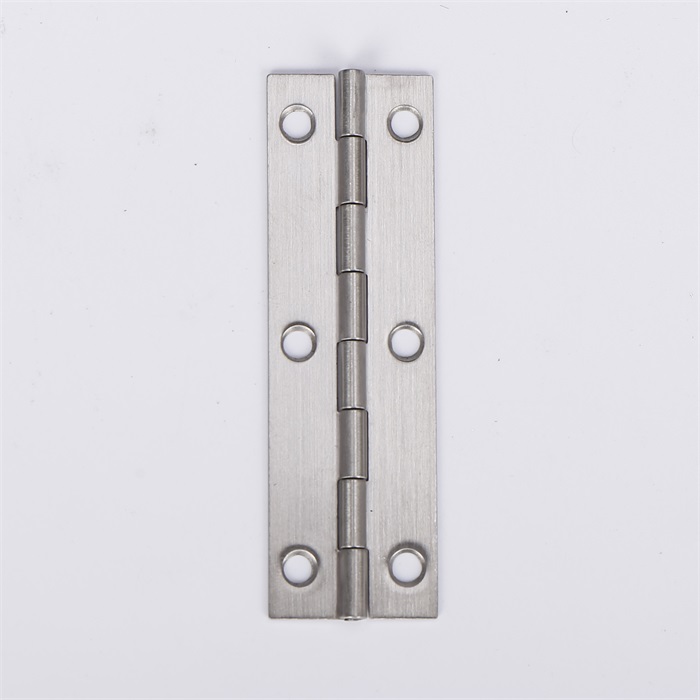 Stainless steel hinge