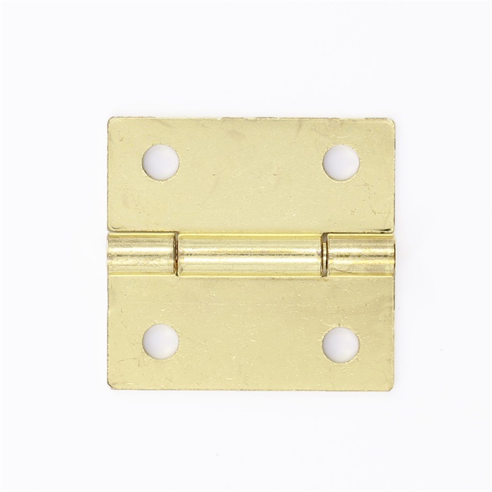 Stainless steel small hinge，dongguan small hinge