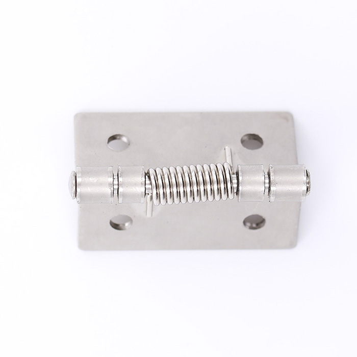 Hot sell 2 inch Stainless steel 304 spring hinge,spring hinges