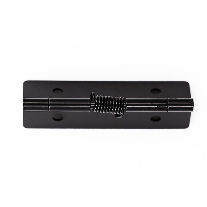 Black color stainless steel spring hinge customized factory