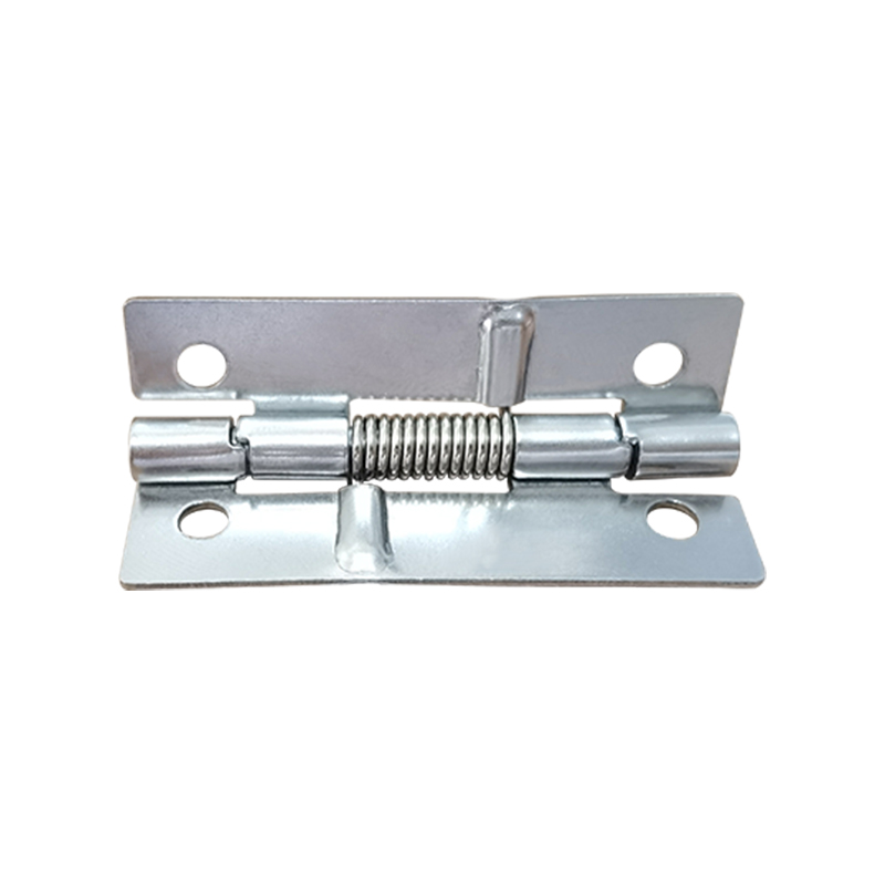 Supplier steel special spring hinges ,hinge with spring