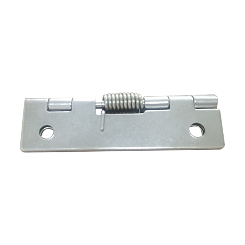 304spring hinge 2x1 inch spring hinge supplier customized manufacture